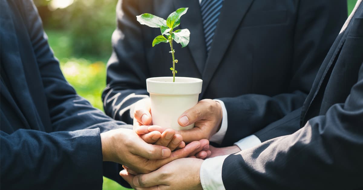 Financial Sustainability & Investment Strategy